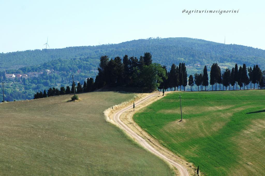 Agriturismo Signorini Orciatico Exterior foto